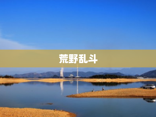 荒野乱斗 荒野乱斗