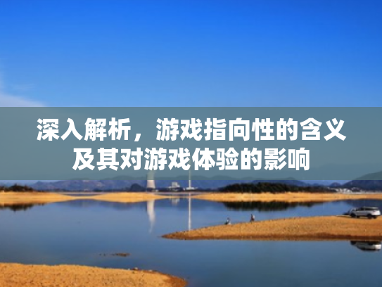 深入解析,游戏指向性的含义及其对游戏体验的影响