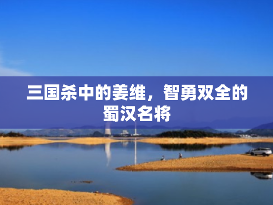 三国杀中的姜维,智勇双全的蜀汉名将 三国杀中的姜维,智勇双全的蜀汉名将