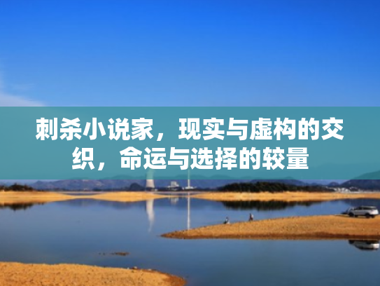 刺杀小说家,现实与虚构的交织,命运与选择的较量