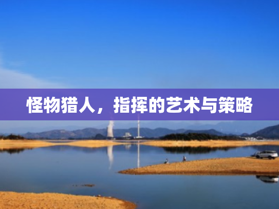 怪物猎人,指挥的艺术与策略 怪物猎人,指挥的艺术与策略