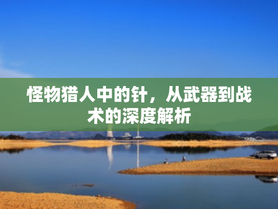 怪物猎人中的针,从武器到战术的深度解析 怪物猎人中的针,从武器到战术的深度解析