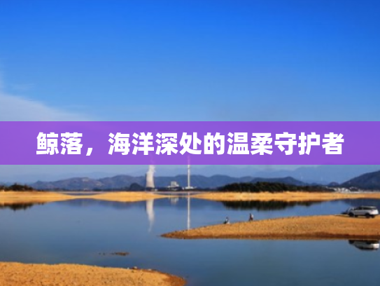 鲸落,海洋深处的温柔守护者