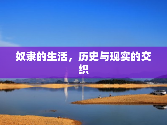 奴隶的生活,历史与现实的交织 奴隶的生活,历史与现实的交织