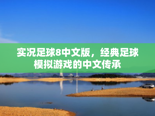 实况足球8中文版,经典足球模拟游戏的中文传承 实况足球8中文版,经典足球模拟游戏的中文传承