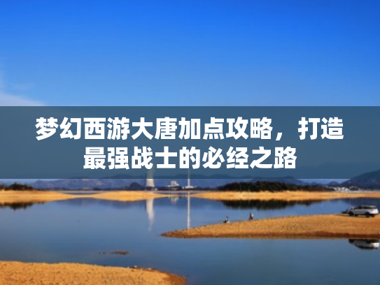 梦幻西游大唐加点攻略,打造最强战士的必经之路 梦幻西游大唐加点攻略,打造最强战士的必经之路