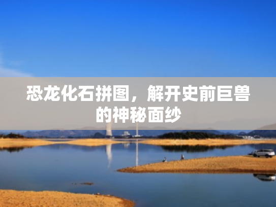 恐龙化石拼图,解开史前巨兽的神秘面纱 恐龙化石拼图,解开史前巨兽的神秘面纱