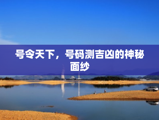 号令天下,号码测吉凶的神秘面纱