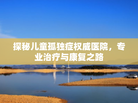 探秘儿童孤独症权威医院,专业治疗与康复之路 探秘儿童孤独症权威医院,专业治疗与康复之路