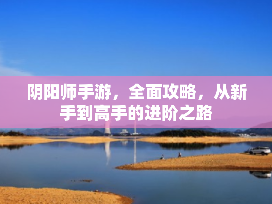 阴阳师手游,全面攻略,从新手到高手的进阶之路