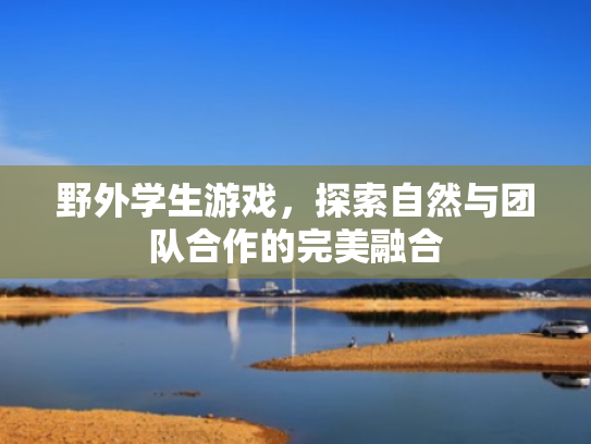 野外学生游戏,探索自然与团队合作的完美融合