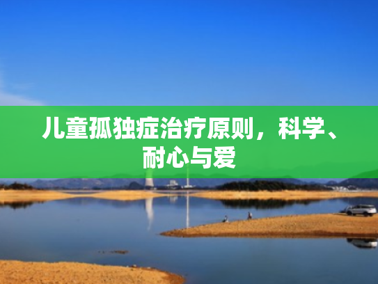 儿童孤独症治疗原则,科学、耐心与爱 儿童孤独症治疗原则,科学、耐心与爱