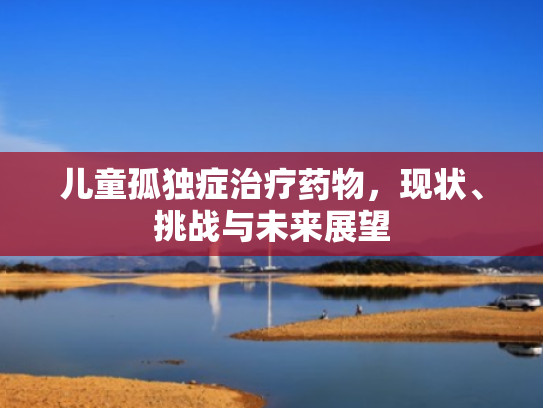 儿童孤独症治疗药物,现状、挑战与未来展望