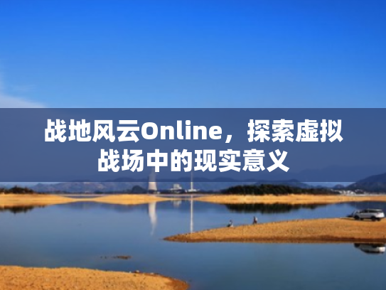 战地风云Online，探索虚拟战场中的现实意义