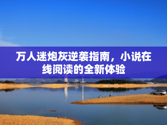 万人迷炮灰逆袭指南,小说在线阅读的全新体验