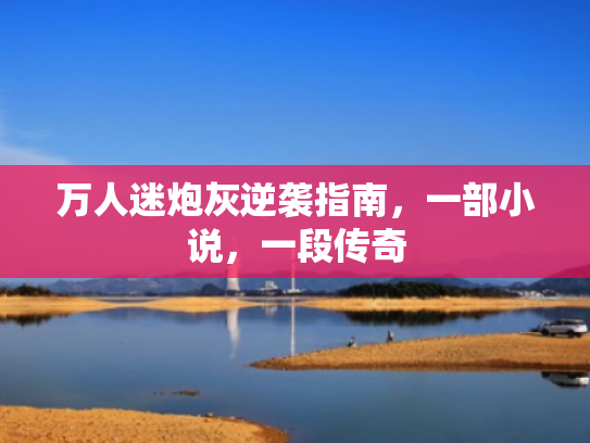 万人迷炮灰逆袭指南,一部小说,一段传奇