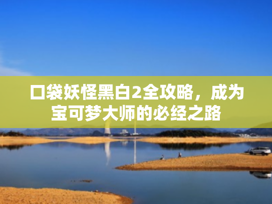 口袋妖怪黑白2全攻略，成为宝可梦大师的必经之路