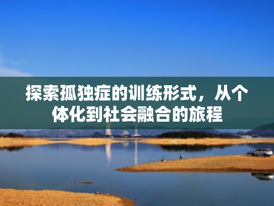 探索孤独症的训练形式,从个体化到社会融合的旅程