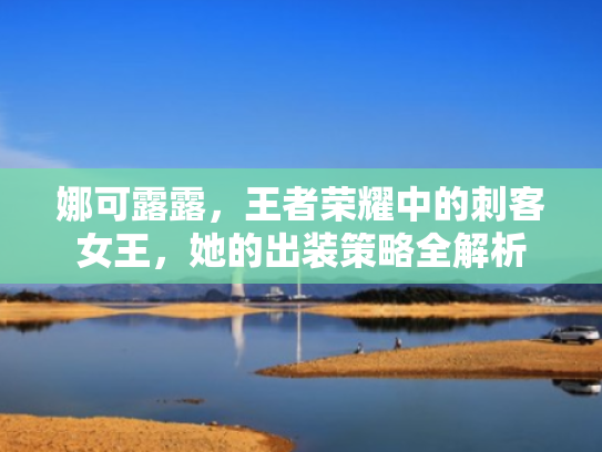 娜可露露,王者荣耀中的刺客女王,她的出装策略全解析