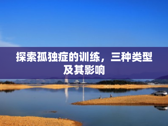 探索孤独症的训练,三种类型及其影响