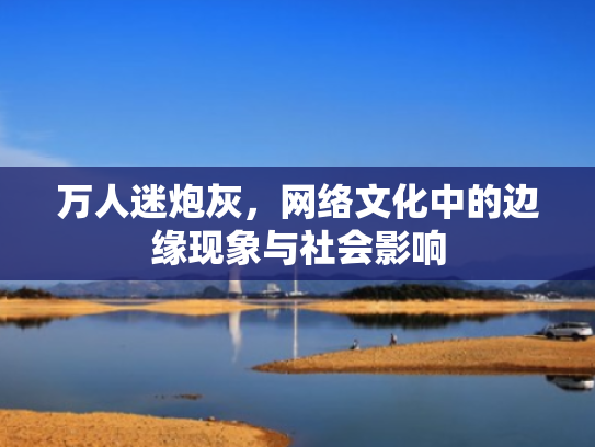 万人迷炮灰,网络文化中的边缘现象与社会影响