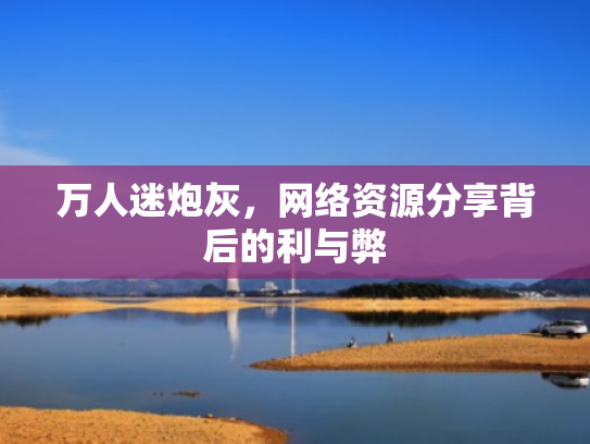 万人迷炮灰,网络资源分享背后的利与弊