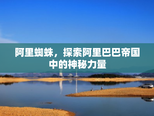 阿里蜘蛛,探索阿里巴巴帝国中的神秘力量