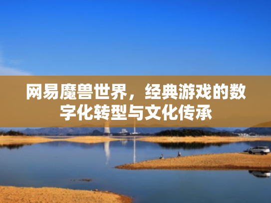 网易魔兽世界，经典游戏的数字化转型与文化传承