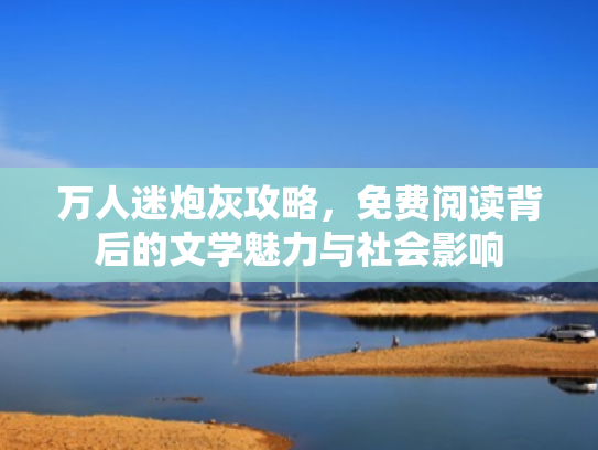 万人迷炮灰攻略,免费阅读背后的文学魅力与社会影响