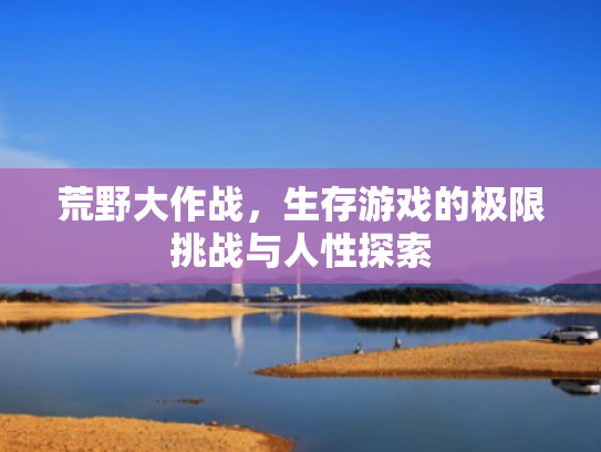 荒野大作战,生存游戏的极限挑战与人性探索