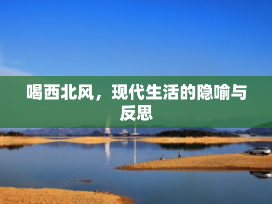 喝西北风,现代生活的隐喻与反思
