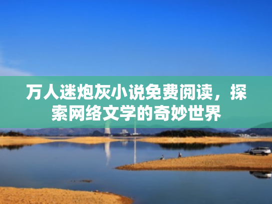 万人迷炮灰小说免费阅读,探索网络文学的奇妙世界