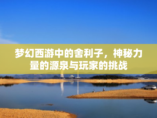 梦幻西游中的舍利子,神秘力量的源泉与玩家的挑战