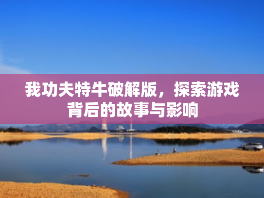 我功夫特牛破解版，探索游戏背后的故事与影响