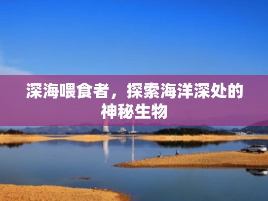 深海喂食者,探索海洋深处的神秘生物