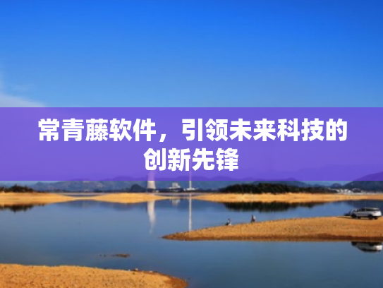 常青藤软件,引领未来科技的创新先锋 常青藤软件,引领未来科技的创新先锋