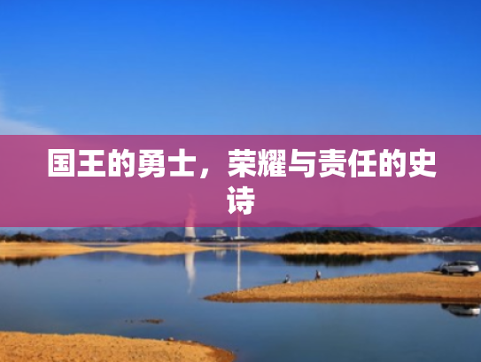 国王的勇士,荣耀与责任的史诗