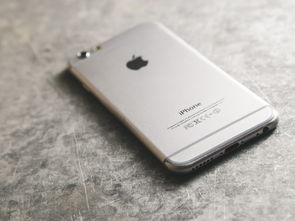 2023年苹果新品，iPhone 15的全面解析与最新价格走势