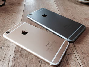 揭秘2023年苹果iPhone 8 Plus实体店售价全解析，真相与市场行情深度剖析